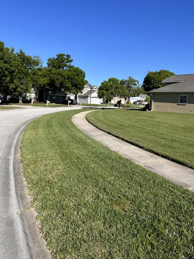 Local outdoor landscaping for year-round maintenance in Land O' Lakes, FL by Precision Cutzz Landscaping Service