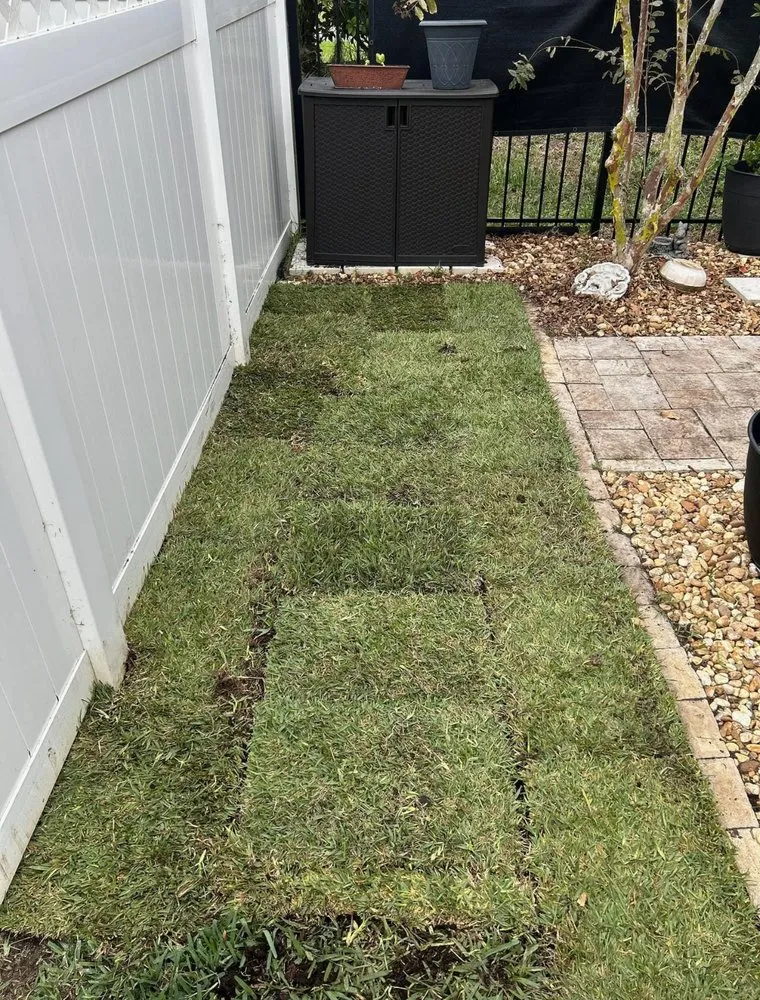 Affordable lawn mowing service in Land O' Lakes, FL by Precision Cutzz Landscaping Service