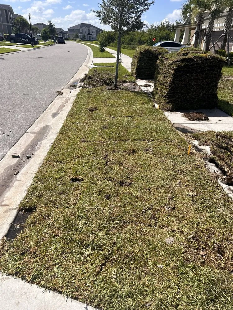 Reliable yard cleanup service in Land O' Lakes, FL - Precision Cutzz Landscaping Service