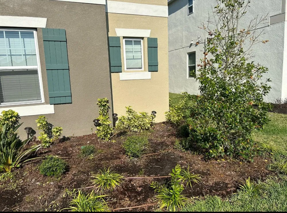 Professional landscape design experts serving Land O' Lakes, FL - Precision Cutzz Landscaping Service
