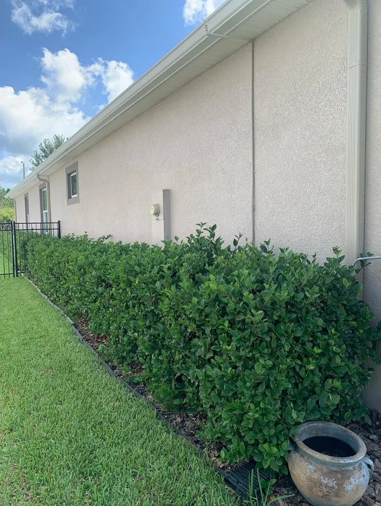 Local lawn care service in Land O' Lakes, FL - Precision Cutzz Landscaping Service