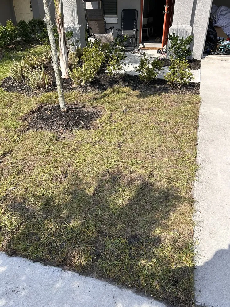 Expert outdoor landscaping in Land O' Lakes, FL by Precision Cutzz Landscaping Service