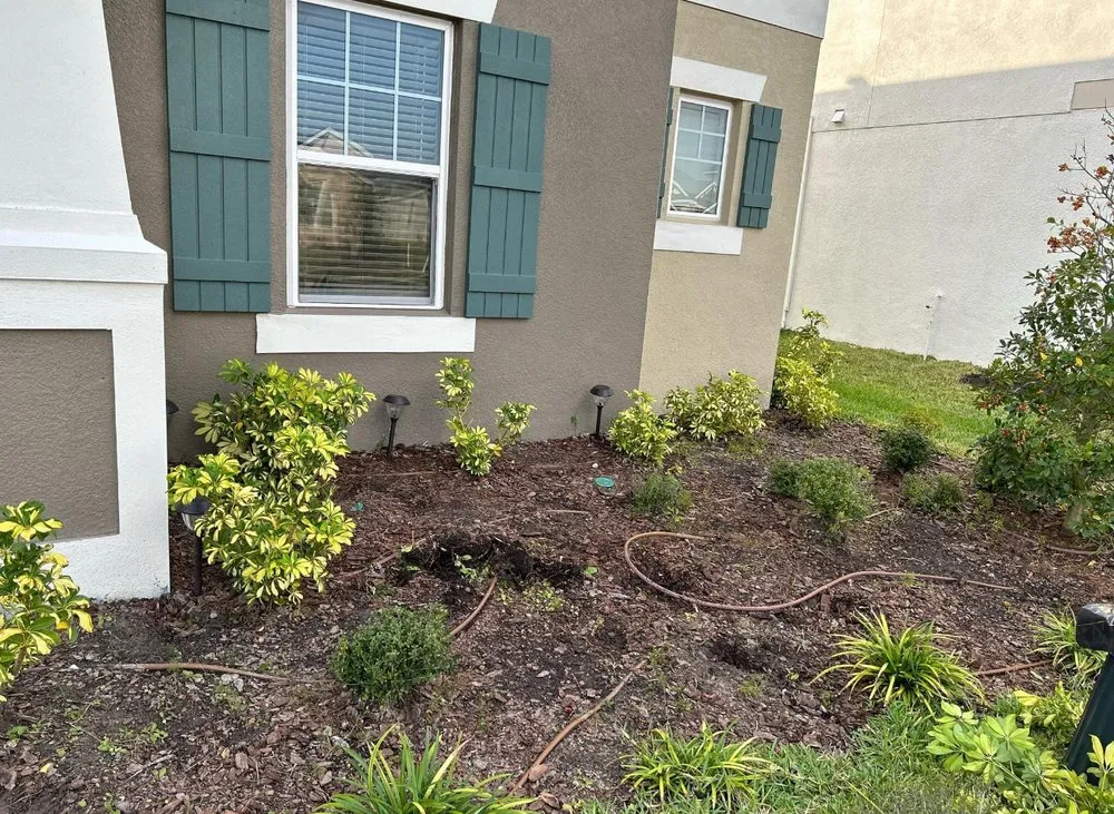 Top-rated lawn mowing service near you across Land O' Lakes, FL - Precision Cutzz Landscaping Service