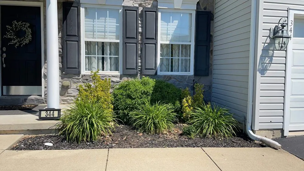 Expert yard cleanup service in Robesonia, PA by Precision Details