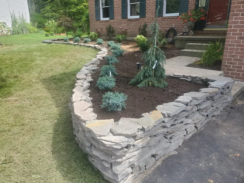 Reliable yard cleanup service experts serving Robesonia, PA - Precision Details