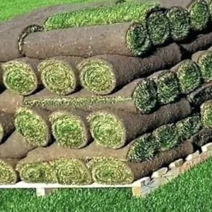 Trusted landscape design near you in Eugene, OR by Precision D&L Landscaping