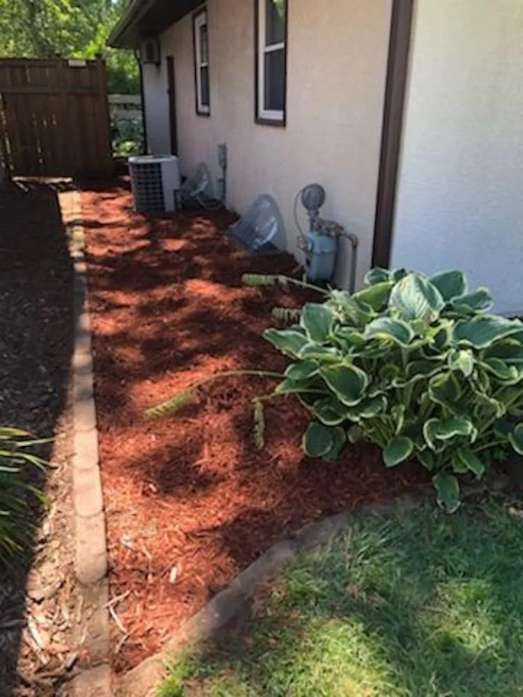 Local lawn mowing service in Blaine, MN - Precision Drainage & Landscape