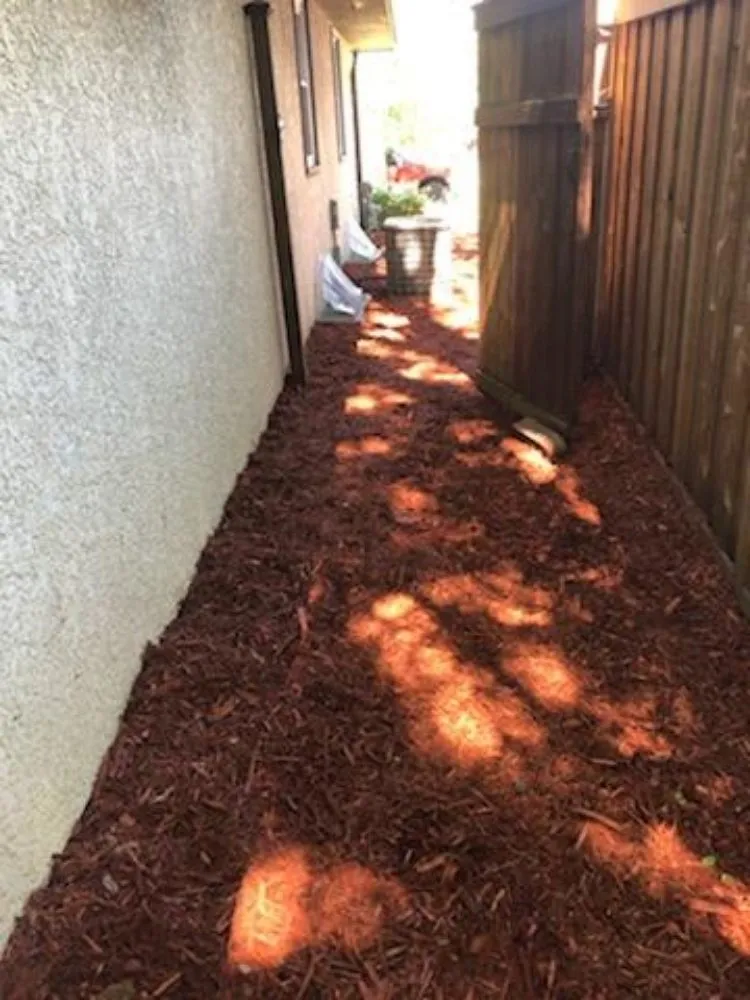 Professional landscape installation in Blaine, MN by Precision Drainage & Landscape