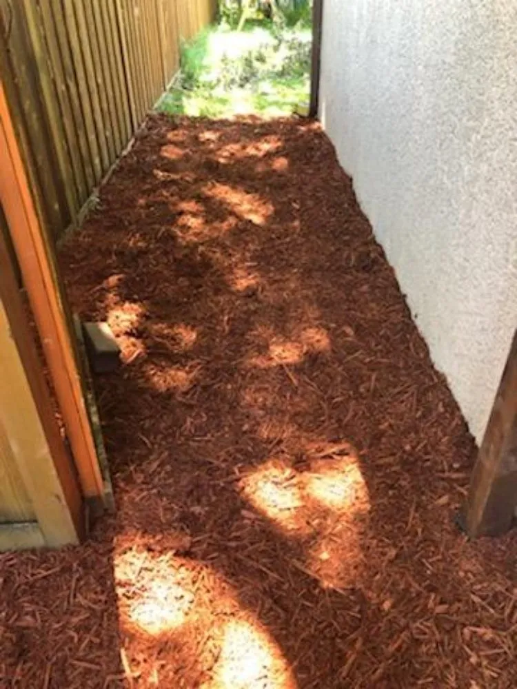 Professional yard maintenance in Blaine, MN by Precision Drainage & Landscape