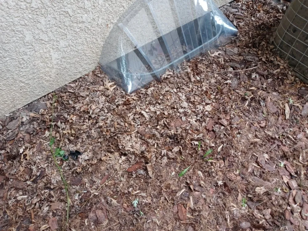 Custom lawn mowing service in Blaine, MN - Precision Drainage & Landscape