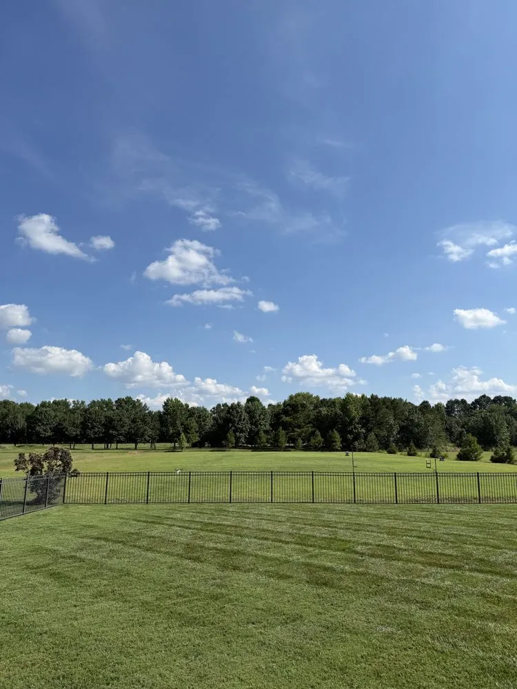 Reliable yard cleanup service for residential properties across Virginia Beach, VA - Precision Edge