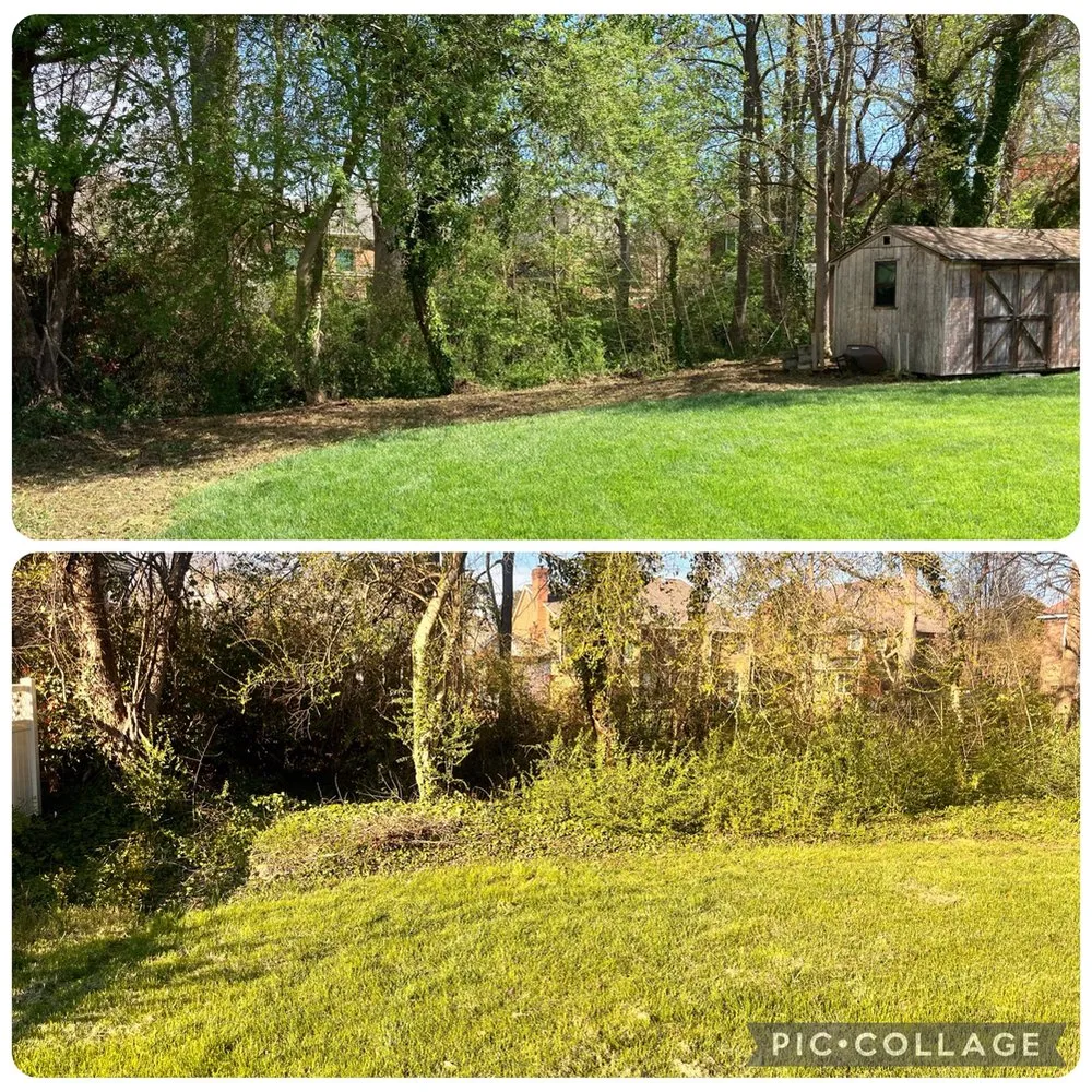 Expert lawn care service for residential properties in Virginia Beach, VA by Precision Edge