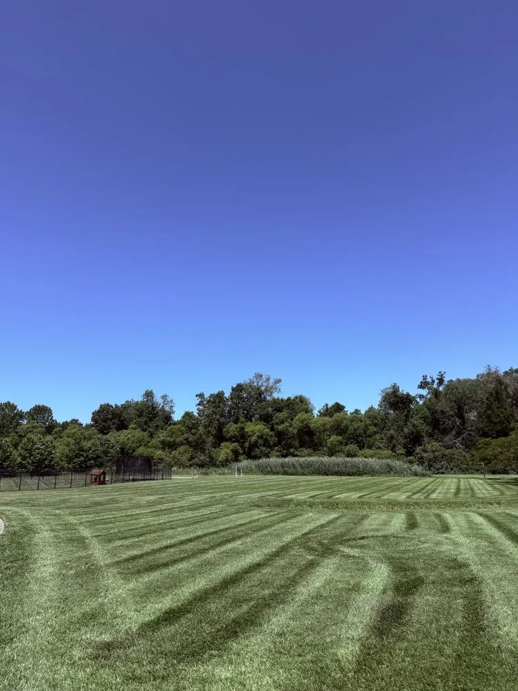 Custom lawn care service in Virginia Beach, VA - Precision Edge