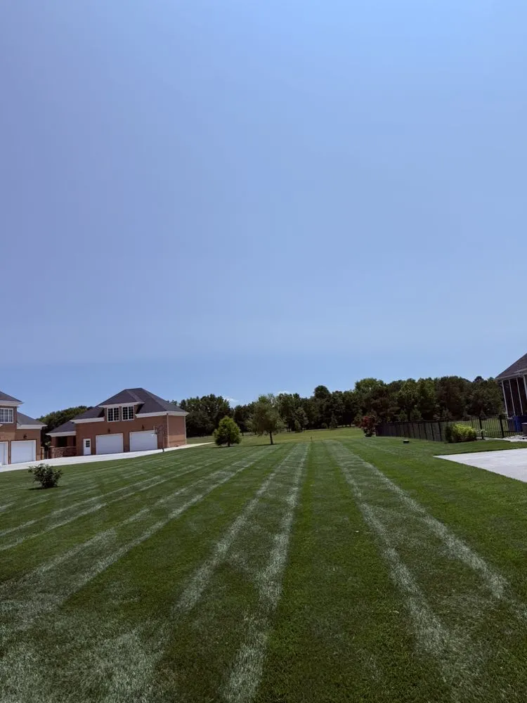 Reliable landscaping services for year-round maintenance across Virginia Beach, VA - Precision Edge