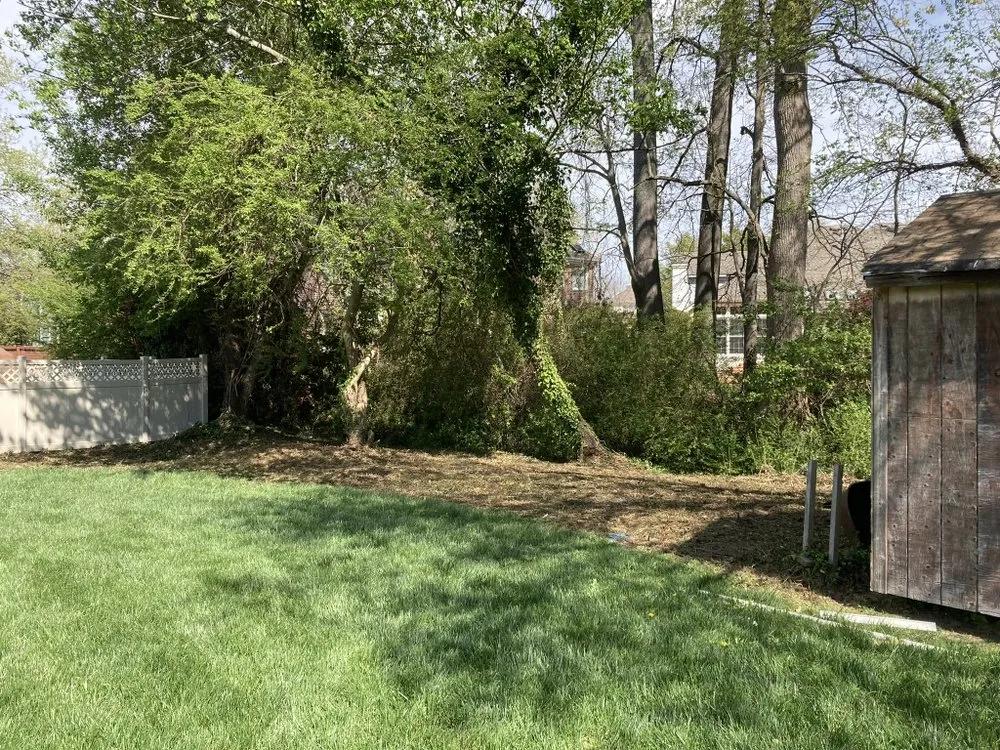 Top-rated yard cleanup service experts serving Virginia Beach, VA - Precision Edge