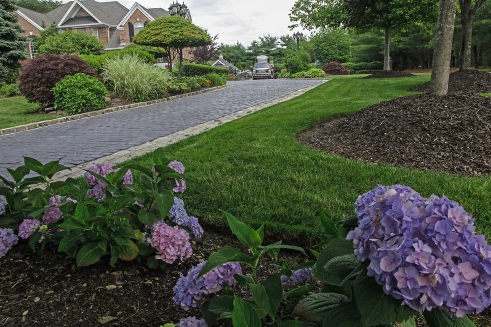 Expert landscaping services experts serving Bohemia, NY - Precision Enterprises