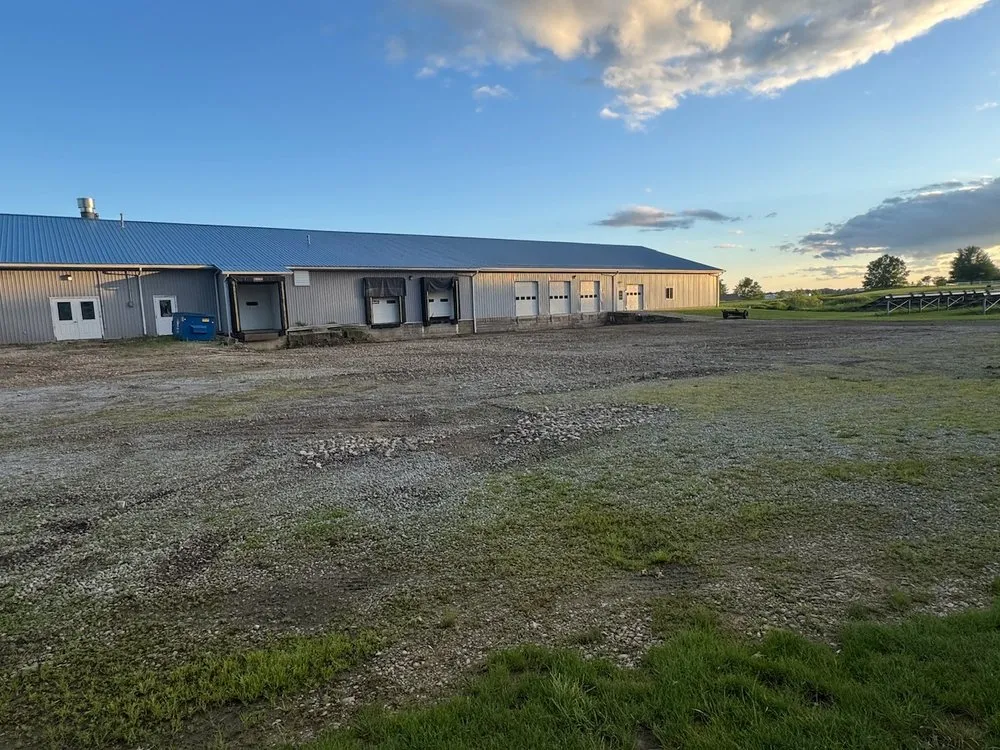 Affordable yard cleanup service in New Philadelphia, OH - Precision Exterior Services