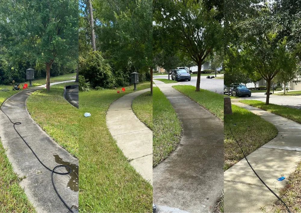 Top-rated residential landscaping with custom design across Ponte Vedra Beach, FL - Precision Exterior Services