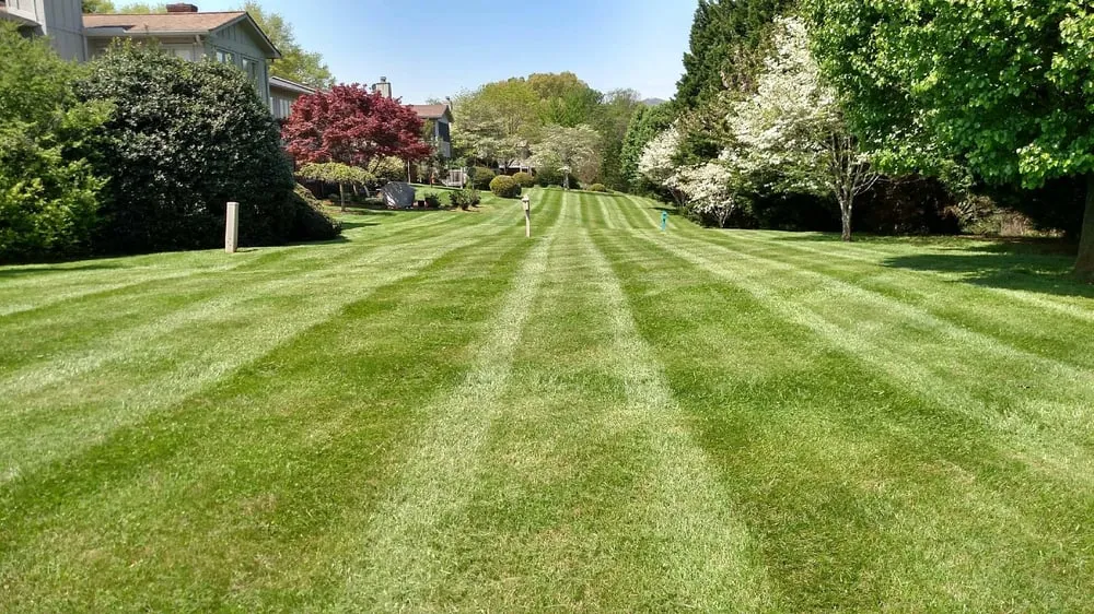 Custom garden landscaping for year-round maintenance in Madison Heights, VA by Precision Green