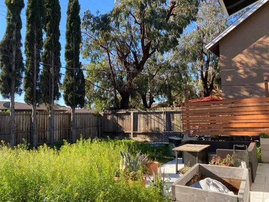 Precision Greenscapes JR. Logo