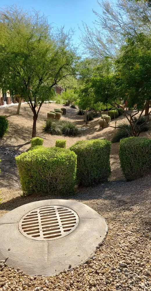 Reliable landscape installation experts serving Nuevo, CA - Precision Greenscapes