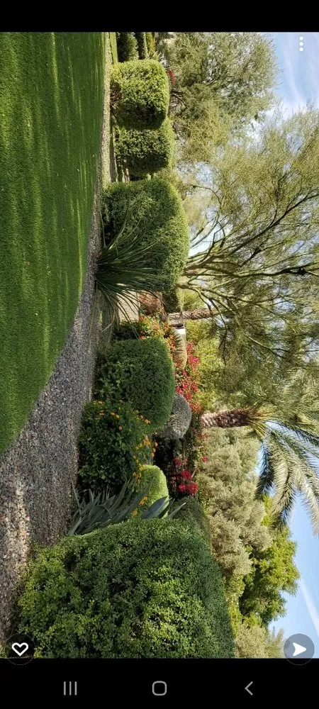 Custom yard maintenance for beautiful yards in Nuevo, CA by Precision Greenscapes