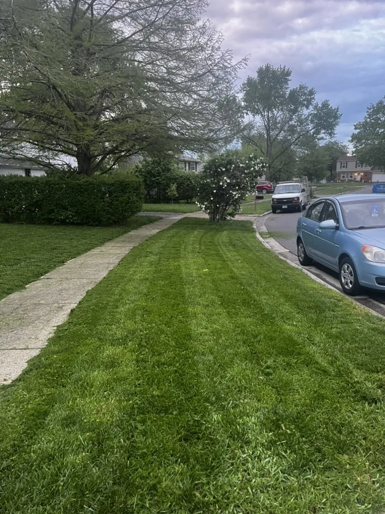 Custom landscape design experts serving Pickerington, OH - Precision Greenworks