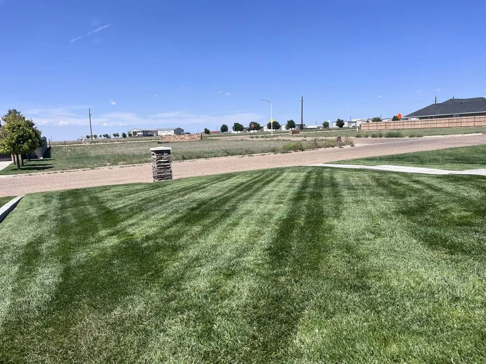 Reliable yard cleanup service in Dalhart, TX - Precision Grounds Maintenance