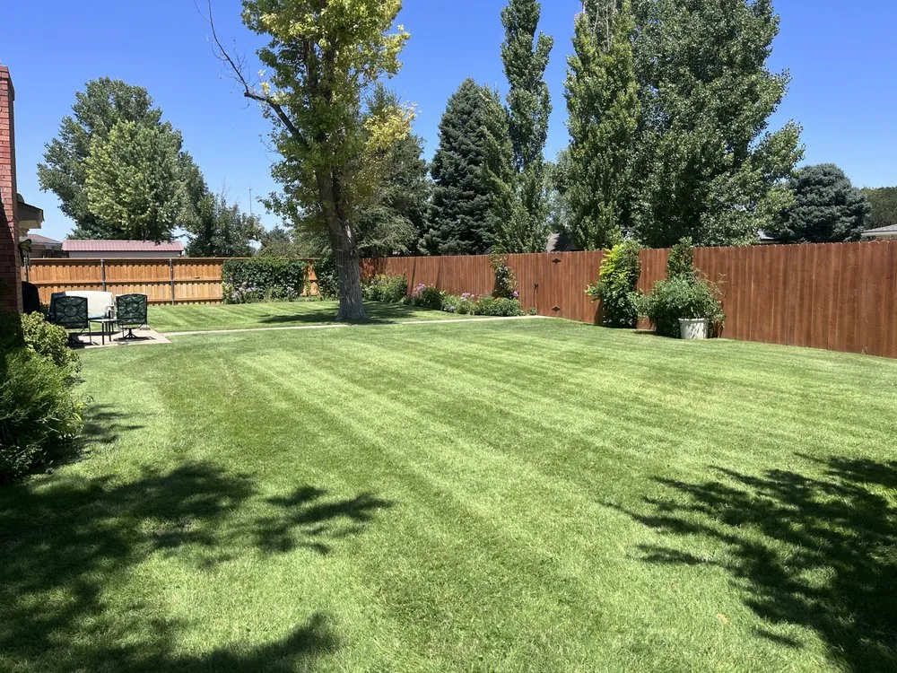 Affordable landscaping services experts serving Dalhart, TX - Precision Grounds Maintenance