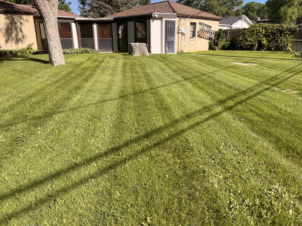 Local yard maintenance for year-round maintenance in Dalhart, TX by Precision Grounds Maintenance