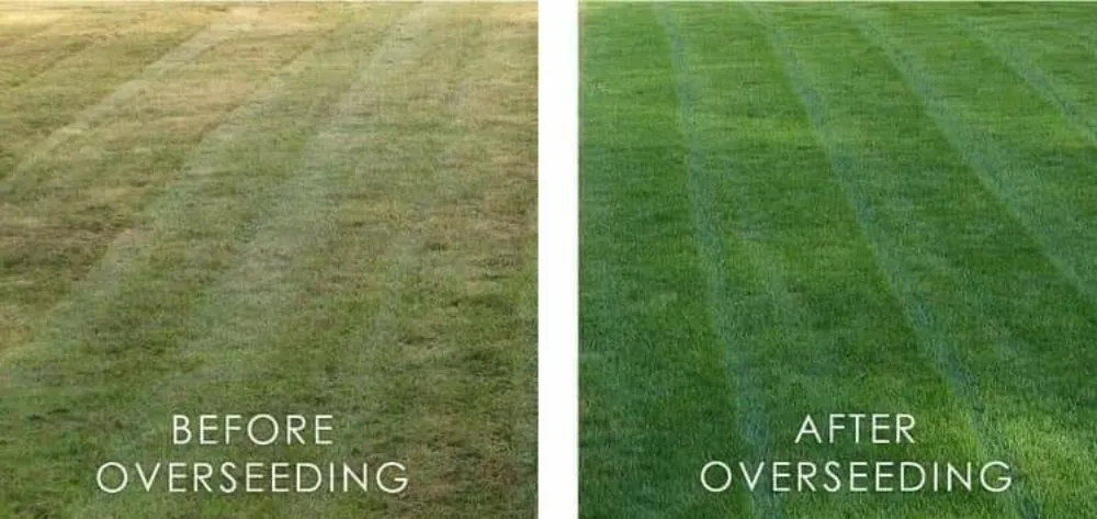 Professional outdoor landscaping experts serving Sauget, IL - Precision Hardscapes