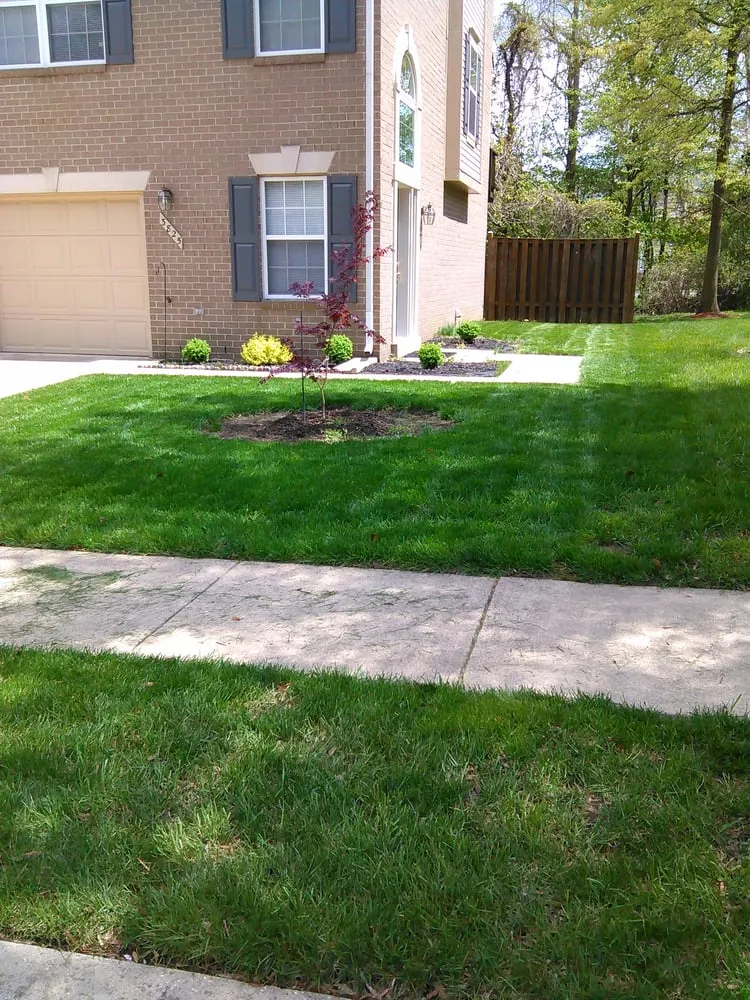 Trusted yard cleanup service for residential properties across Bowie, MD - Precision Home Reno