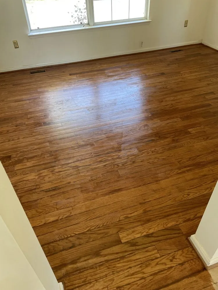 Trusted yard maintenance for beautiful yards in Bowie, MD by Precision Home Reno