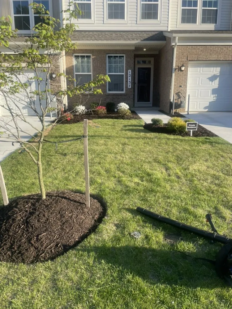 Reliable lawn care service in Bowie, MD - Precision Home Reno