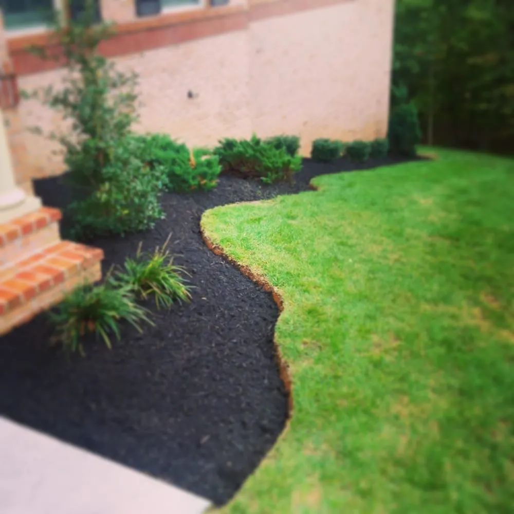 Professional lawn care service for homes across Bowie, MD - Precision Home Reno