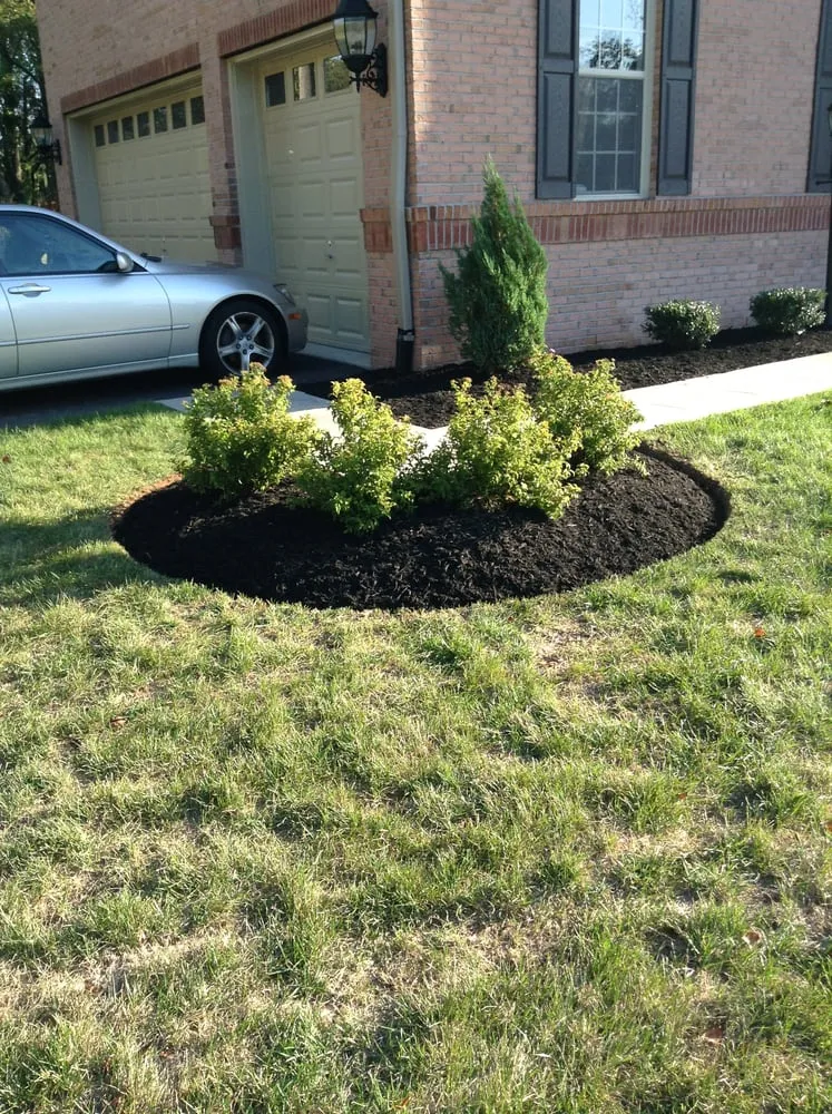 Professional outdoor landscaping in Bowie, MD by Precision Home Reno