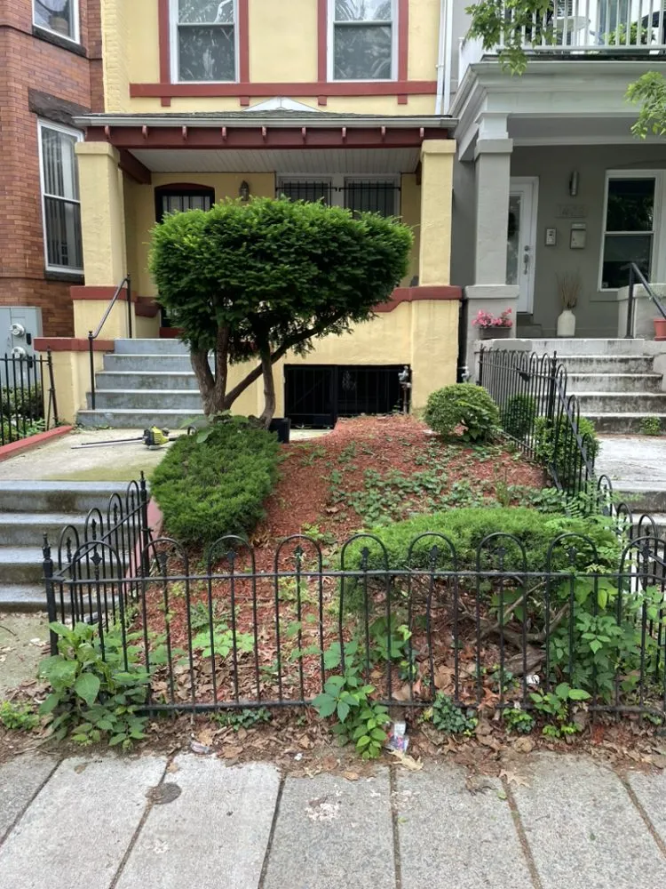 Top-rated landscape installation in Bowie, MD - Precision Home Reno