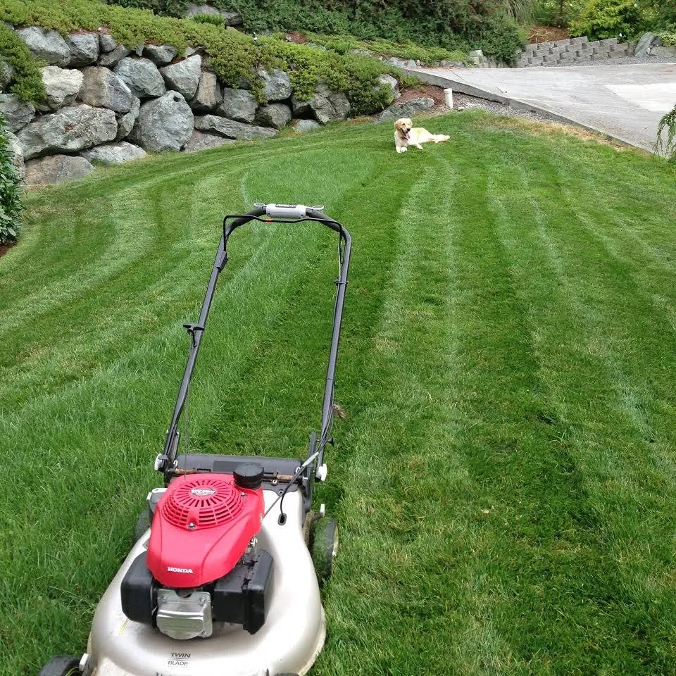 Trusted landscape design with custom design across Lynnwood, WA - Precision Home Services