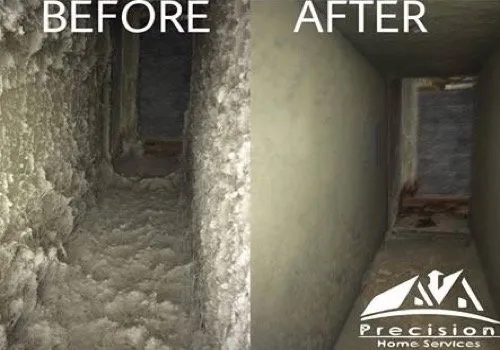 Top-rated lawn care service in Oxford, MI by Precision Home Services