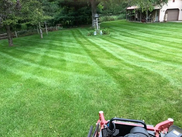 Professional yard cleanup service with custom design across Flushing, MI - Precision Image Lawncare