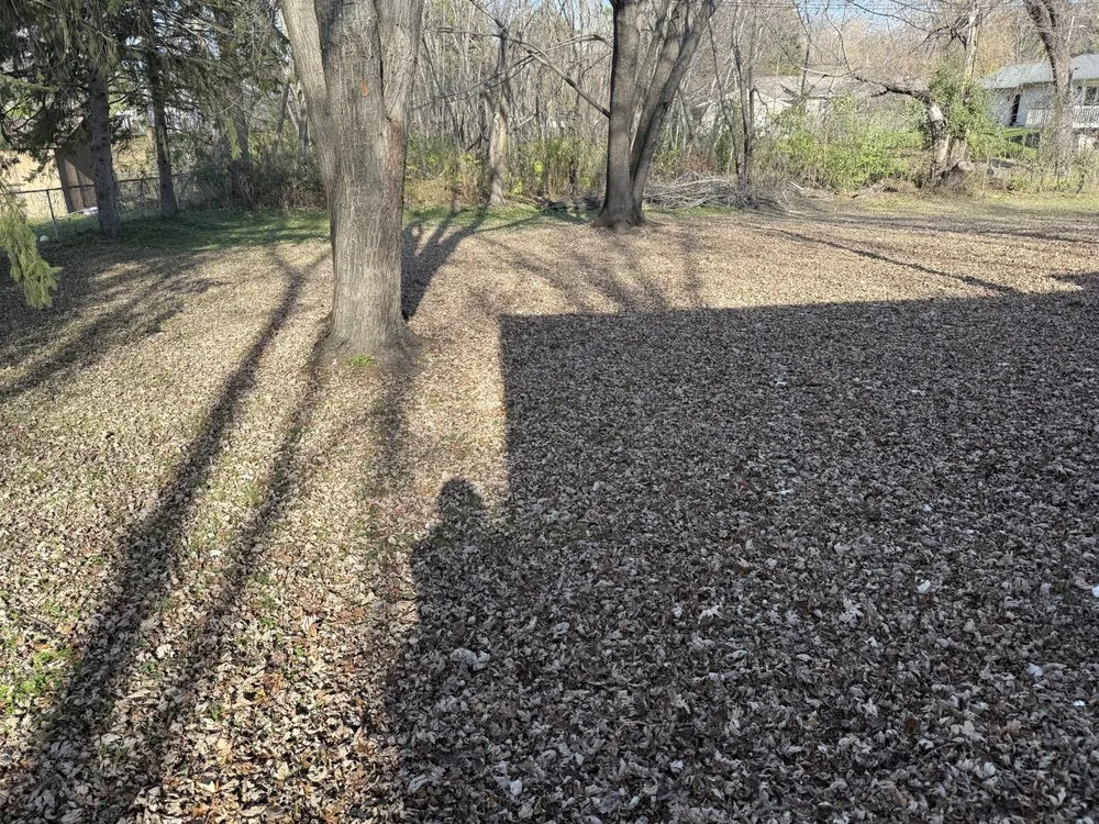 Local lawn care service for residential properties across Eau Claire, WI - Precision Irrigation