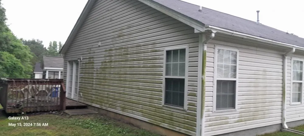 Local yard cleanup service for year-round maintenance in Raleigh, NC by Precision Land & Concrete