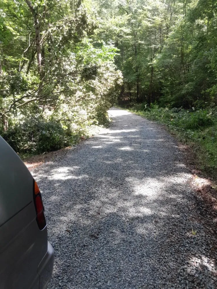 Reliable outdoor landscaping for beautiful yards across Raleigh, NC - Precision Land & Concrete