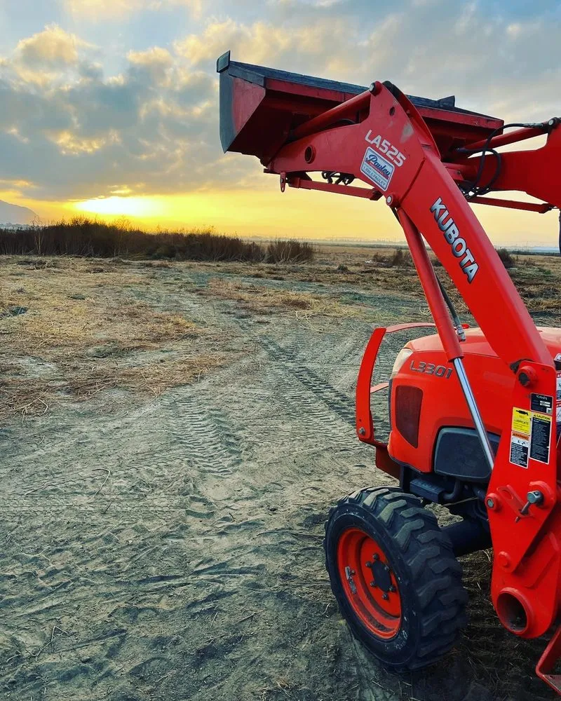 Reliable yard maintenance in Temecula, CA - Precision Land Care