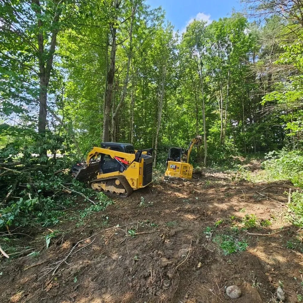 Trusted yard cleanup service in Webster, MA - Precision Land Scraping