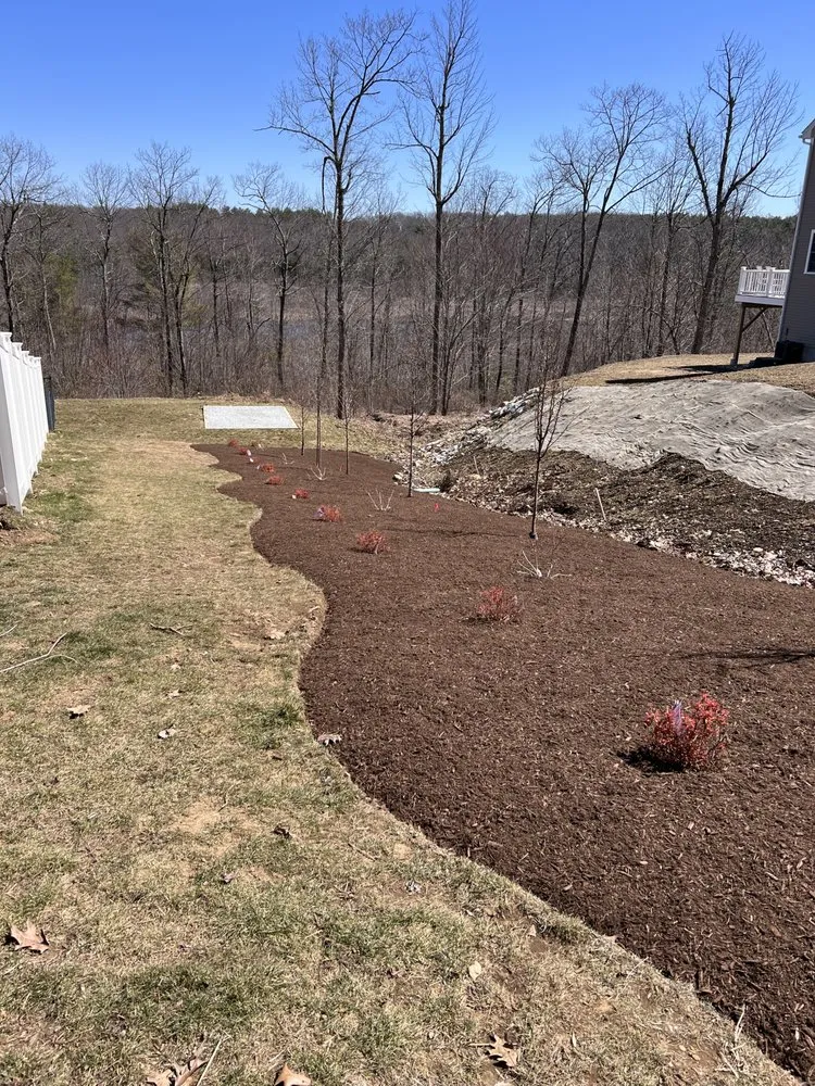 Affordable yard maintenance in Webster, MA by Precision Land Scraping
