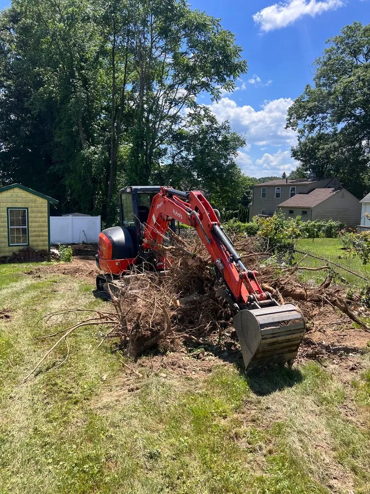Trusted yard cleanup service in Webster, MA by Precision Land Scraping