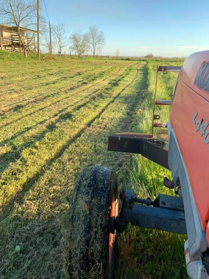 Local yard maintenance near you across Creole, LA - Precision Land Services