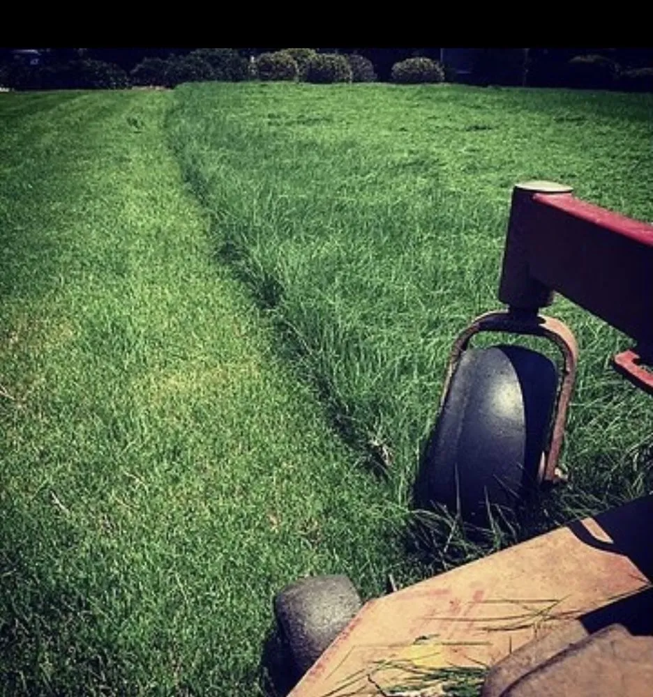 Affordable landscape design for outdoor upgrades across Creole, LA - Precision Land Services