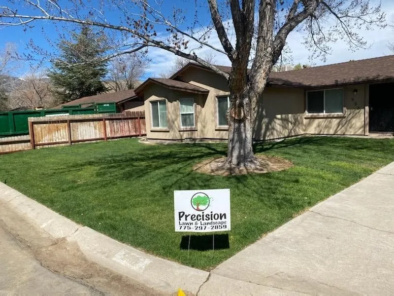 Expert residential landscaping near you in Carson City, NV by Precision Landscape & Earth Worx